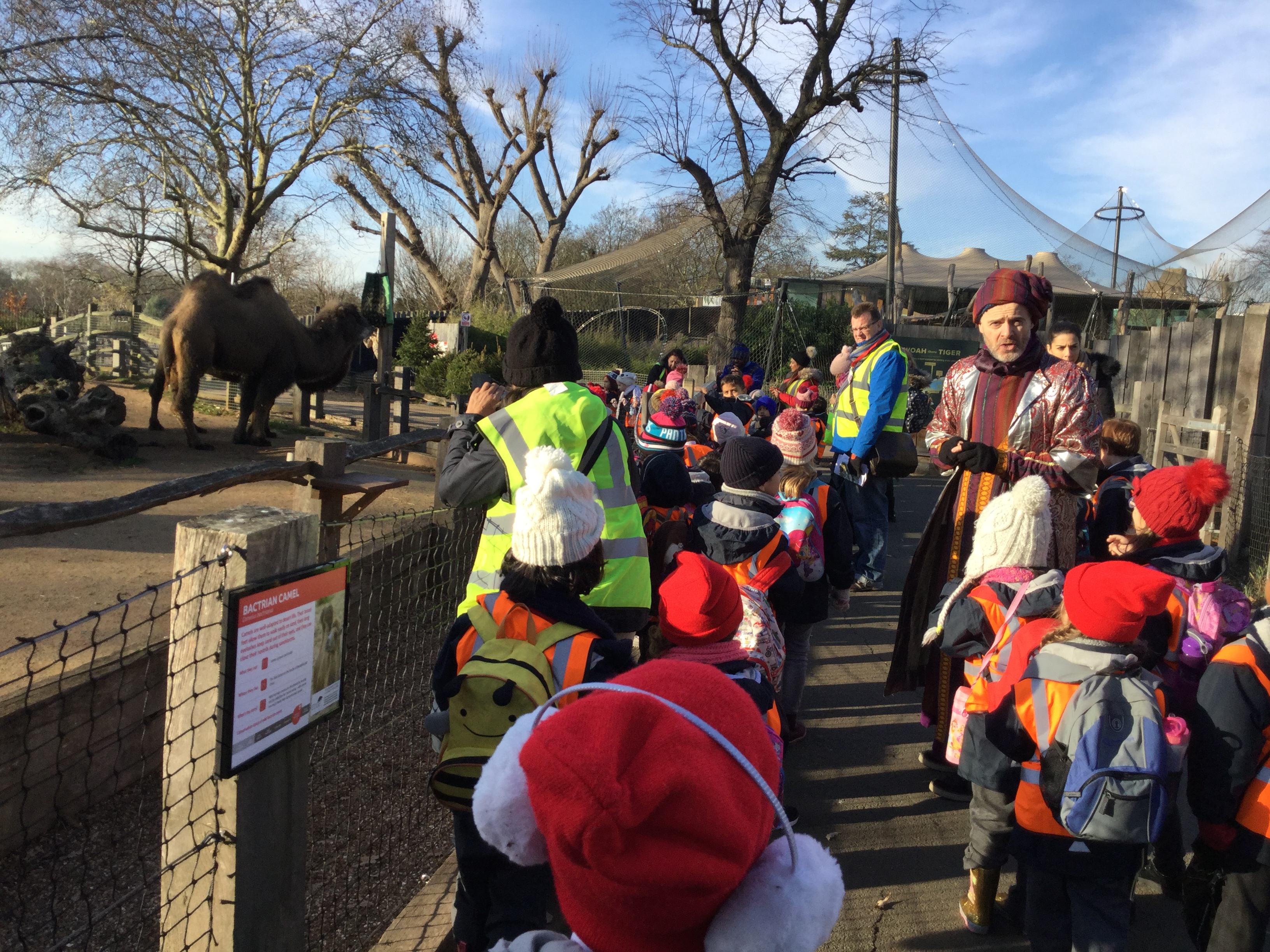 zoo3