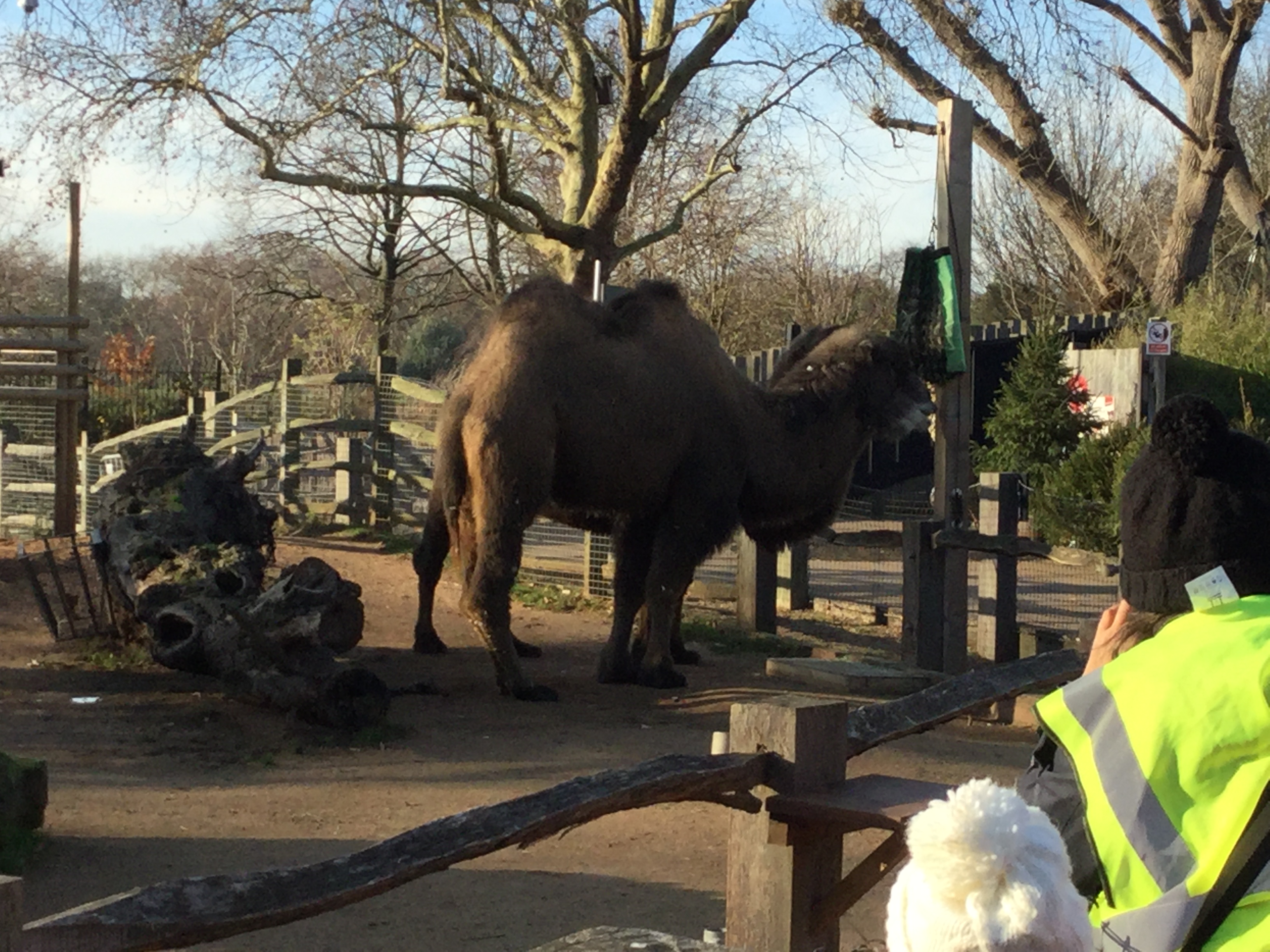 zoo4